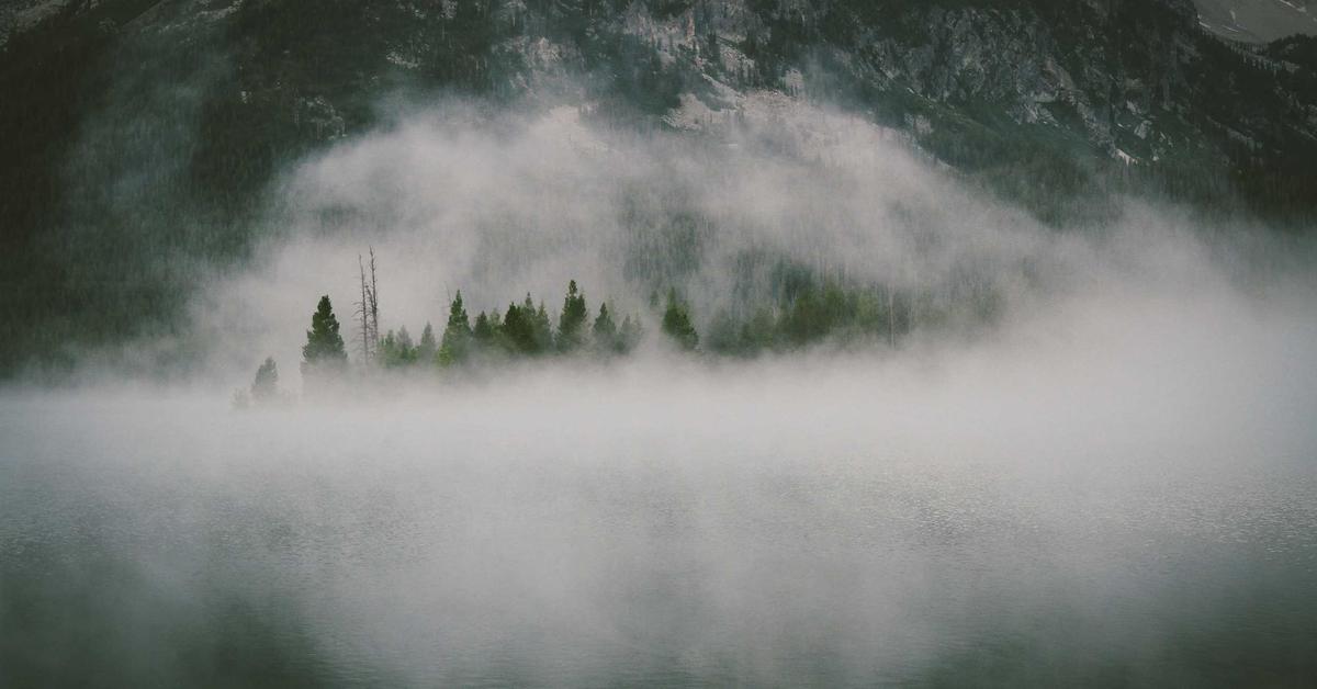 Mengembangkan Strategi Digital untuk Meningkatkan Kompetensi Bisnis