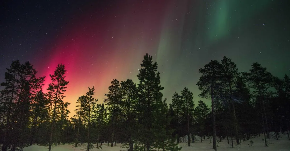 Mengembangkan Strategi Digital yang Efektif untuk Meningkatkan Kinerja Bisnis di Era Teknologi