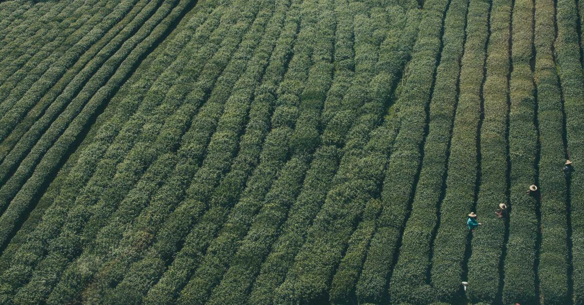 Mengoptimalkan Penggunaan Teknologi Berbasis API untuk Meningkatkan Efisiensi Bisnis