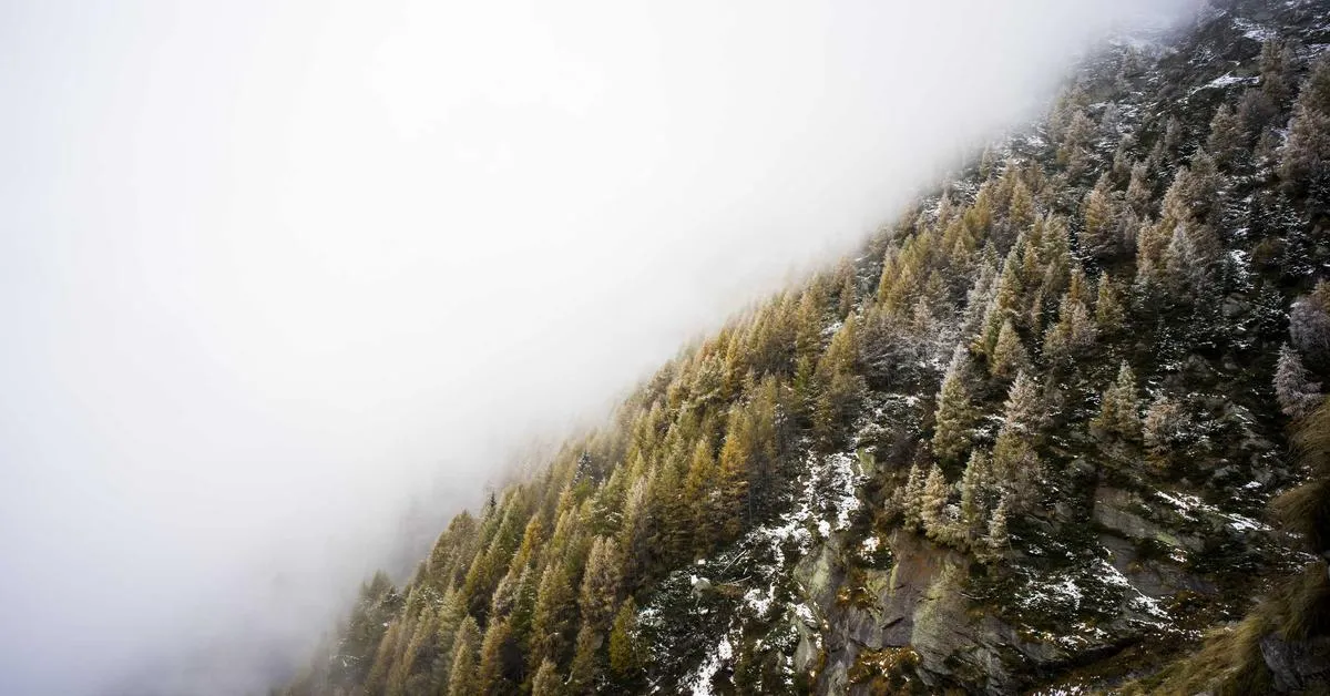 Optimizing Containerization Technology to Boost Application Development Efficiency