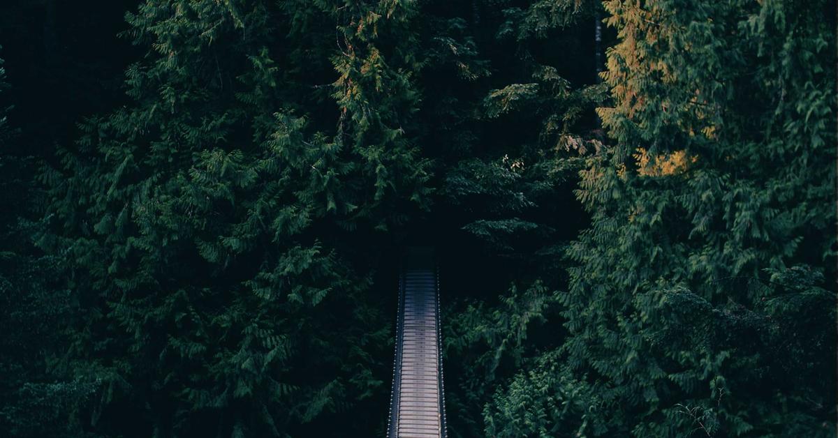 Mengoptimalkan Penggunaan Teknologi Human-Centered Design untuk Meningkatkan Pengalaman Pengguna