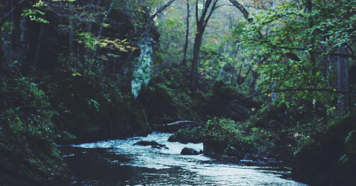 Mengoptimalkan Penggunaan Teknologi Berbasis Internet of Things (IoT) untuk Meningkatkan Efisiensi Bisnis di Indonesia