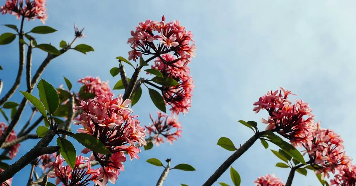 Optimizing Quantum Computing Technology to Enhance Computational Capabilities