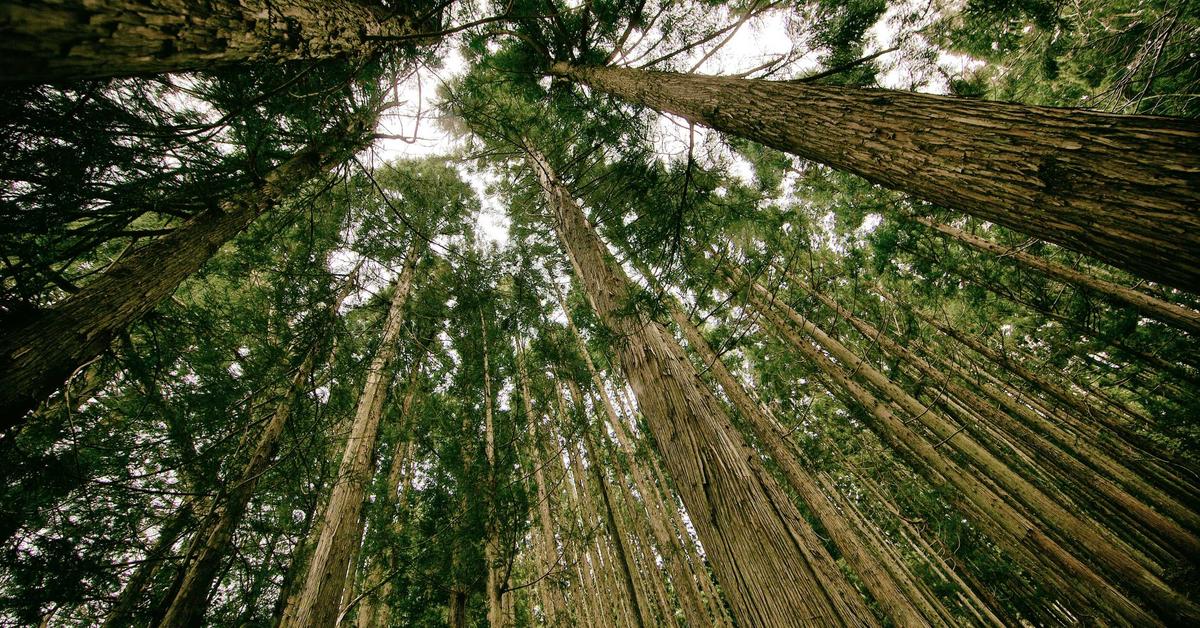 Mengoptimalkan Penggunaan Teknologi untuk Meningkatkan Kualitas Layanan Pelanggan di Era Digital