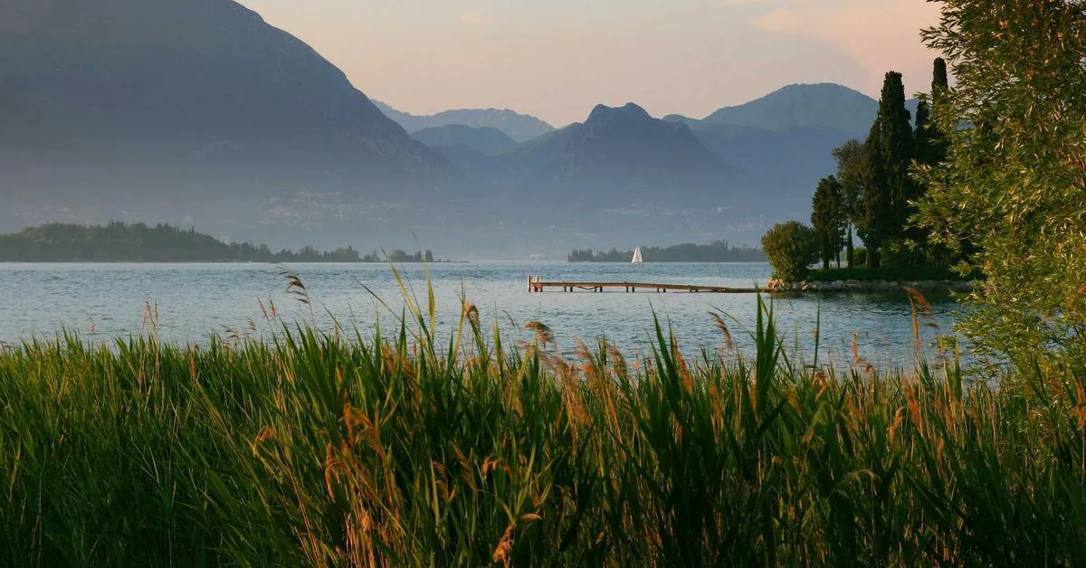Mengoptimalkan Penggunaan Teknologi untuk Meningkatkan Kualitas Layanan Kesehatan di Indonesia