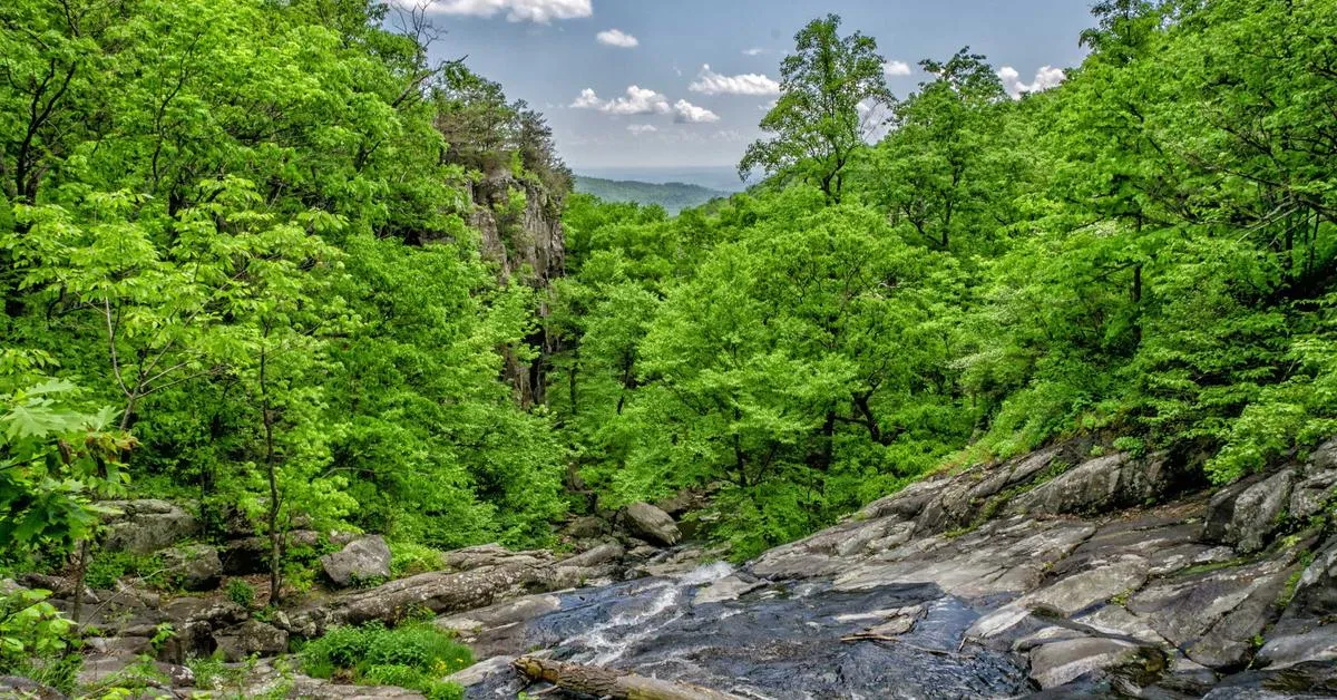 Panduan Lengkap Memilih Layanan IT yang Tepat untuk Bisnis di Indonesia