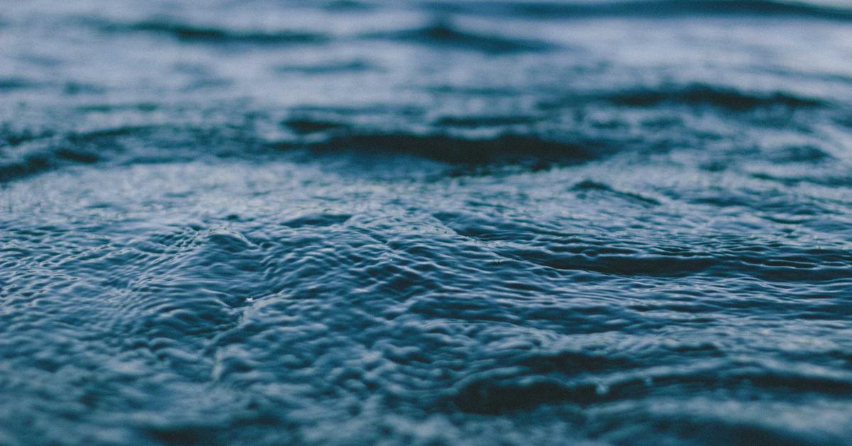 Mengenal Teknologi Digital Forensik dan Perannya dalam Investigasi Kejahatan Siber